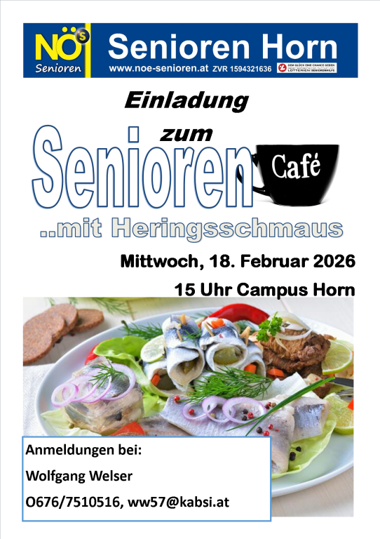 Seniorencafe der NÖs Senioren